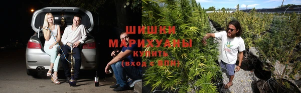 стафф Белокуриха