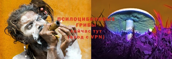 каннабис Хадыженск